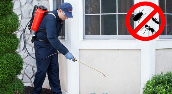 Marmaraereğlisi Dezenfeksiyon böcek ilaçlama ve haşere kontrolü — ilaclama-tr.com